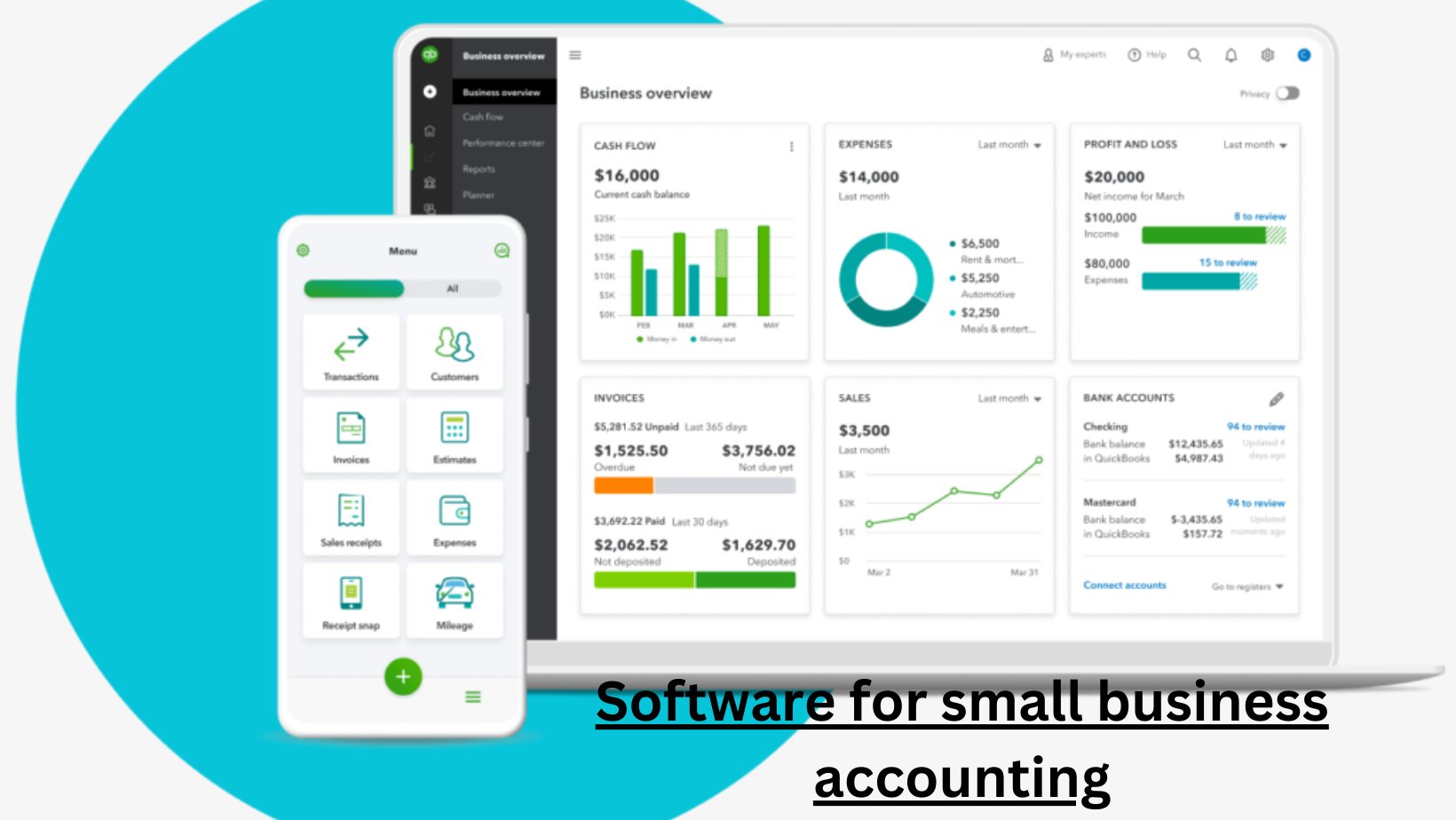 Software for small business accounting