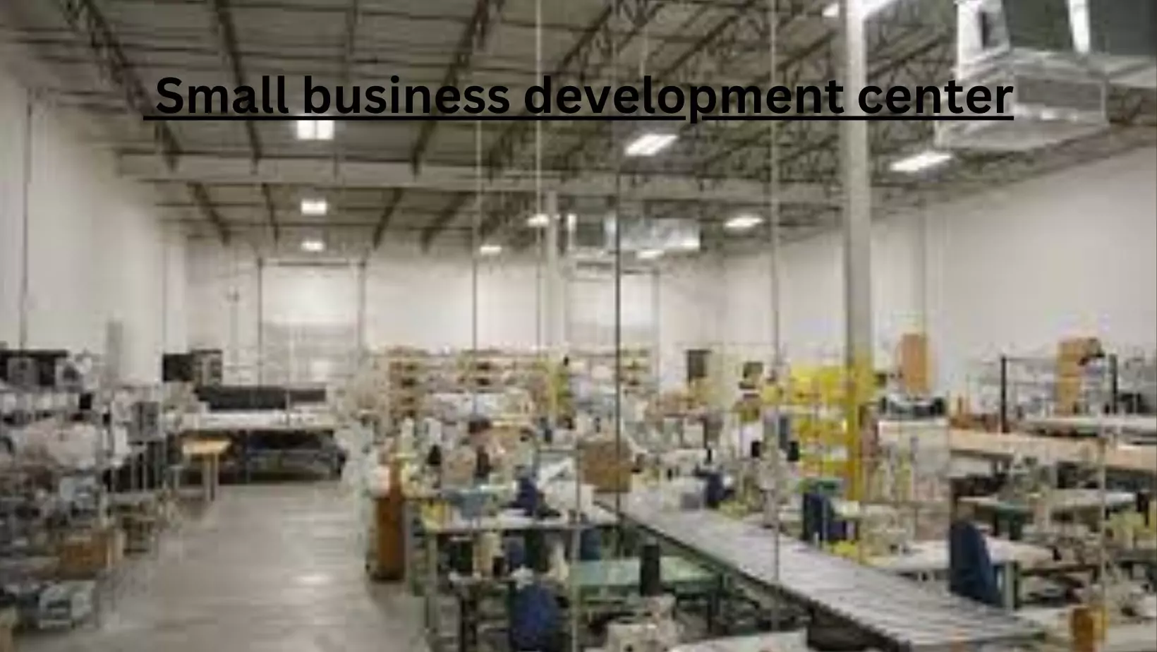 Small business development center