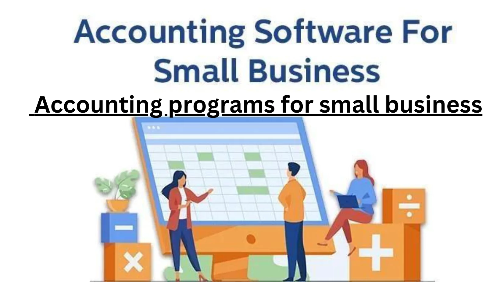 Accounting programs for small business